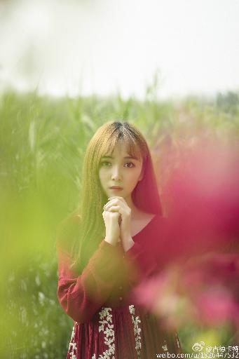 青丝影视在线看免费版