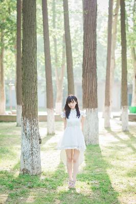 陆贞传奇电视剧在线观看免费全集