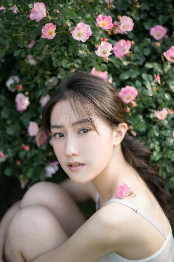 新澳天天彩开好彩大全