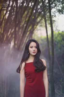 完美世界全集免费观看