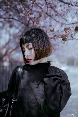 锦月如歌电视剧免费观看全集完整版