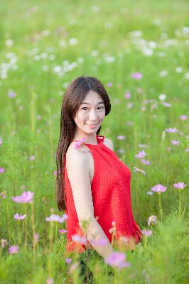 美女在线观看免费版电视剧全集