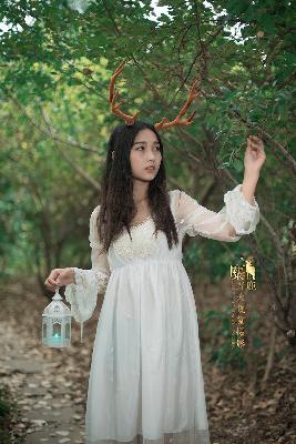 疯狂动物城2 电影