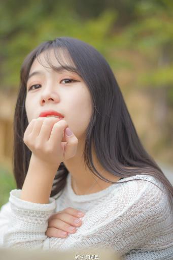 韩国免费观看高清电视剧熊出没