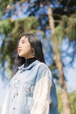 2025年天天免费资料百度中文