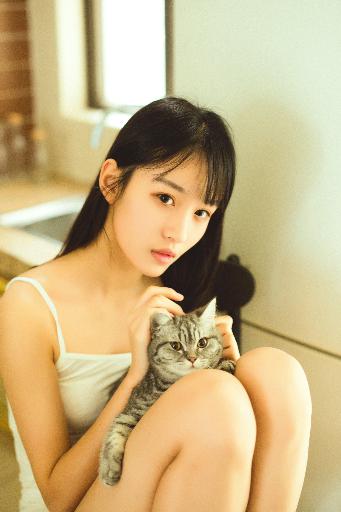 野兽们的战争在线观看免费版