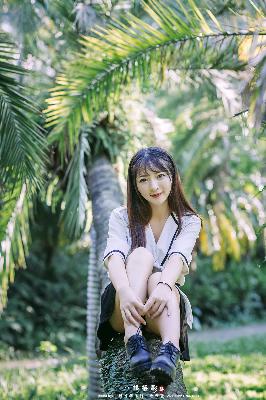 疯狂动物城2 电影