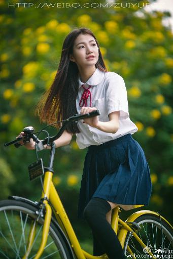 灭火宝贝2:决战丛林