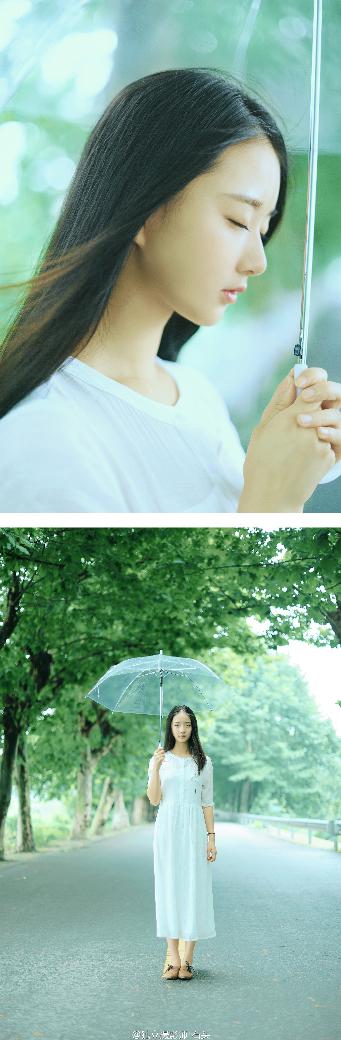 那年花开月正圆免费观看全集