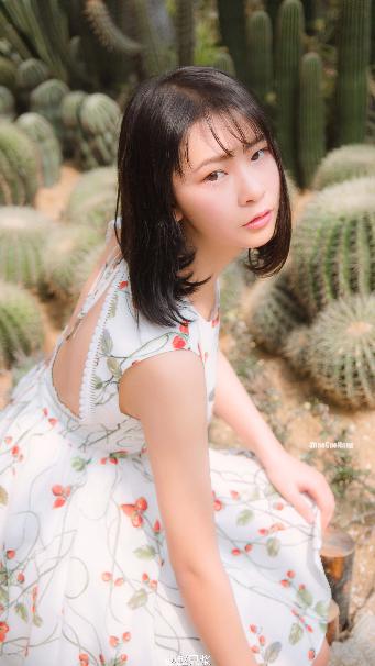 完美世界动漫在线观看全集免费播放