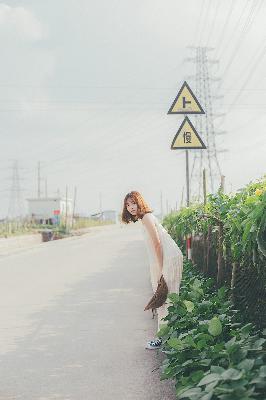 完美世界在线观看