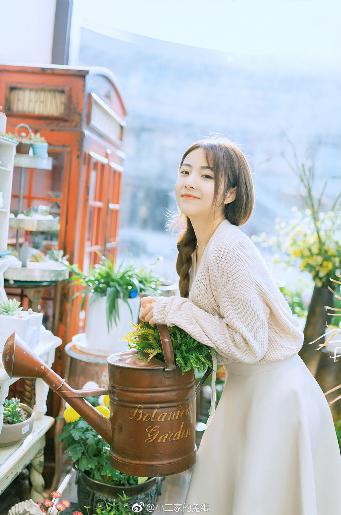 555电影NETFLIX官网笔盒