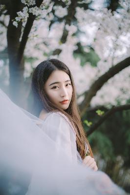 王牌部队电视剧免费观看