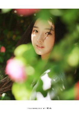 GOGOGO国语版免费播放