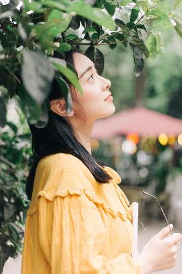 小巷人家演员表