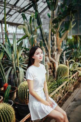 蜜桃成熟时在线