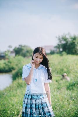 仙台有树电视剧免费观看全集高清完整版