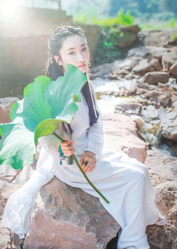 半是蜜糖半是伤免费观看全集完整版