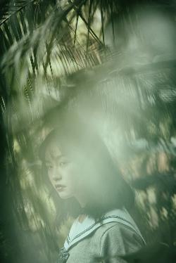 中文在线字幕高清电视剧免费播放