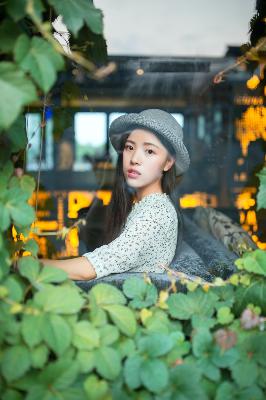 藏海花电视剧免费观看完整版