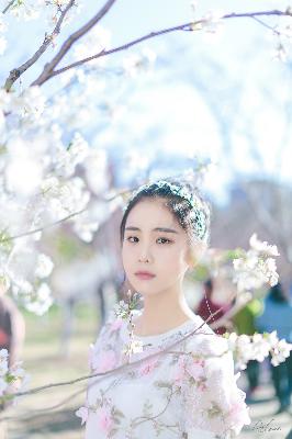 楚汉传奇1-80全集完整版