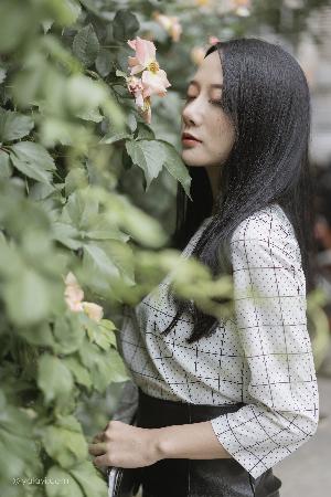 正阳门下电视剧全集免费观看