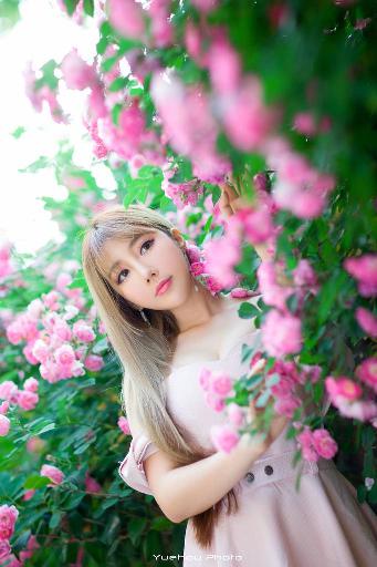 免费动漫51官网动漫