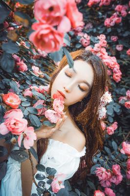 白色城堡电视剧在线观看免费