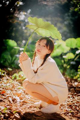 金牌影院电视剧免费播放在线观看全集