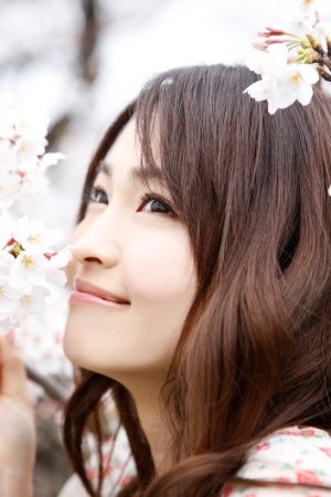 免费观看电视在线高清第一集