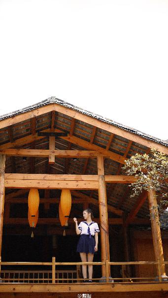 俄罗斯引擎YANDEX进入