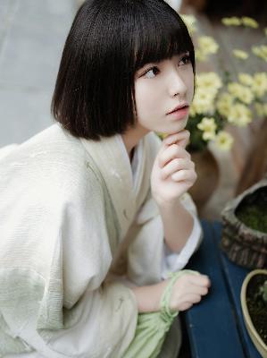 征服电视剧免费观看全集