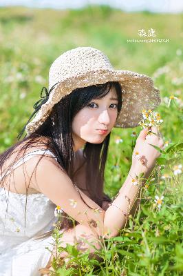 八戒八戒免费观看高清电视剧