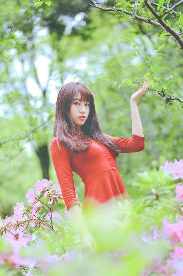 斩神之凡尘神域免费观看