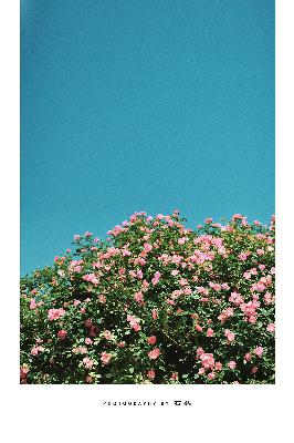 吞噬星空全集免费观看完整版高清