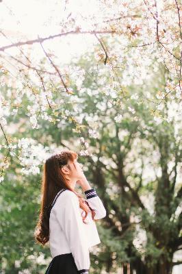 免费观看MV大片高清