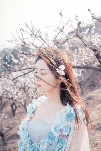 一笑随歌电视剧免费观看完整版