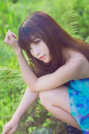 赴山海电视剧免费观看完整版