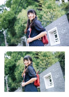 国产高清电影免费观看完整版在线观看熊出没