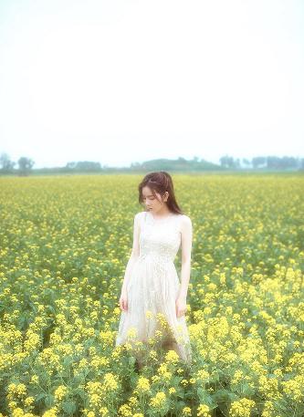 城中之城电视剧免费观看全集