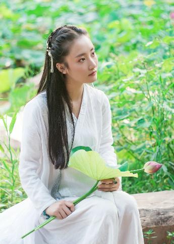 仙台有树电视剧免费观看全集高清完整版