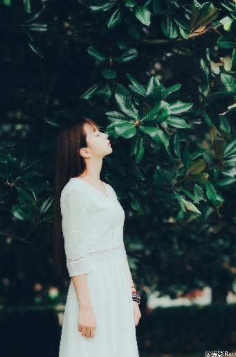 一笑随歌电视剧免费观看