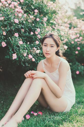 疯狂动物城2(国语版)