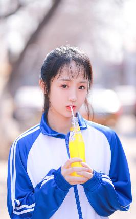 天才基本法电视剧免费观看