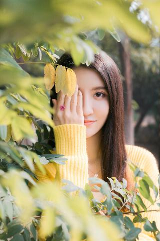 老牛影视在线观看免费观看电视剧