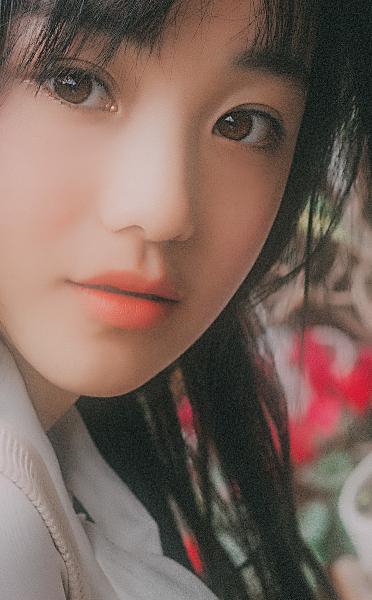 九重紫电视剧免费观看全集在线播放