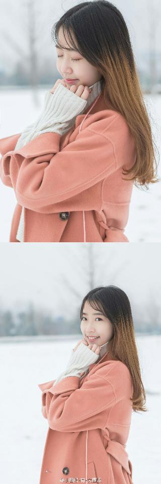 成全在线观看免费观看全集