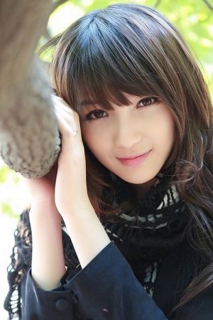 东北往事之黑道风云20年