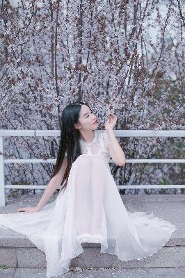 电视剧免费观看电视剧大全在线观