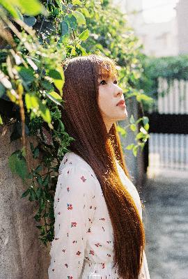 树影迷宫电视剧免费播放